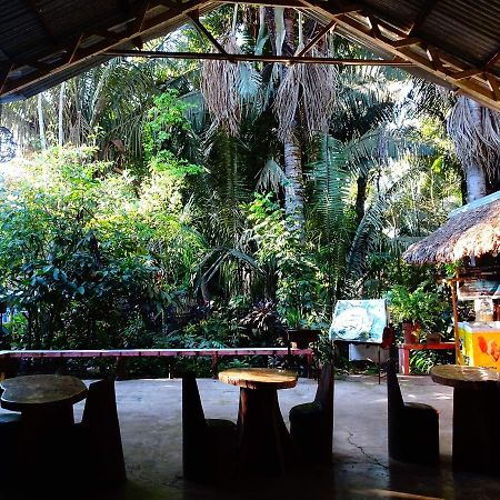 Villa Hermosa De Tambopata Casa Hospedaje & Hostel 푸에르토말도나도 외부 사진