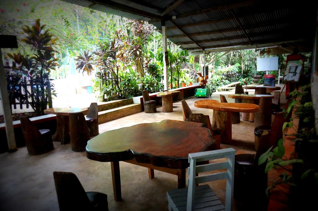 Villa Hermosa De Tambopata Casa Hospedaje & Hostel 푸에르토말도나도 외부 사진