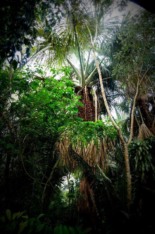 Villa Hermosa De Tambopata Casa Hospedaje & Hostel 푸에르토말도나도 외부 사진