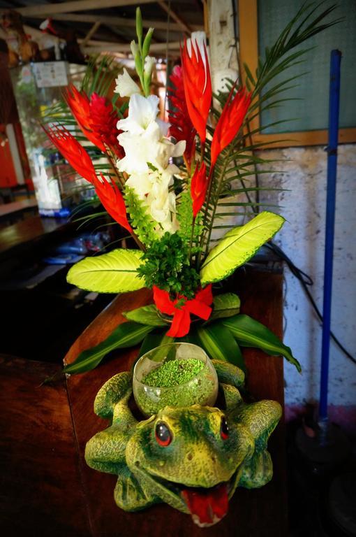 Villa Hermosa De Tambopata Casa Hospedaje & Hostel 푸에르토말도나도 외부 사진