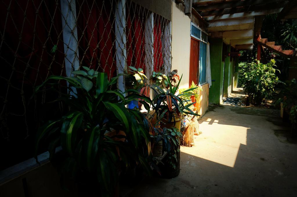Villa Hermosa De Tambopata Casa Hospedaje & Hostel 푸에르토말도나도 외부 사진