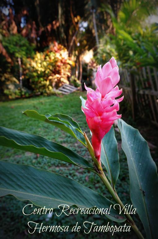 Villa Hermosa De Tambopata Casa Hospedaje & Hostel 푸에르토말도나도 외부 사진
