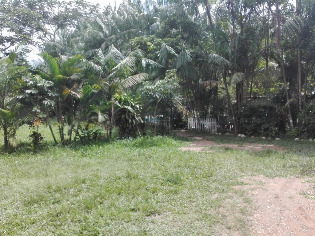 Villa Hermosa De Tambopata Casa Hospedaje & Hostel 푸에르토말도나도 외부 사진