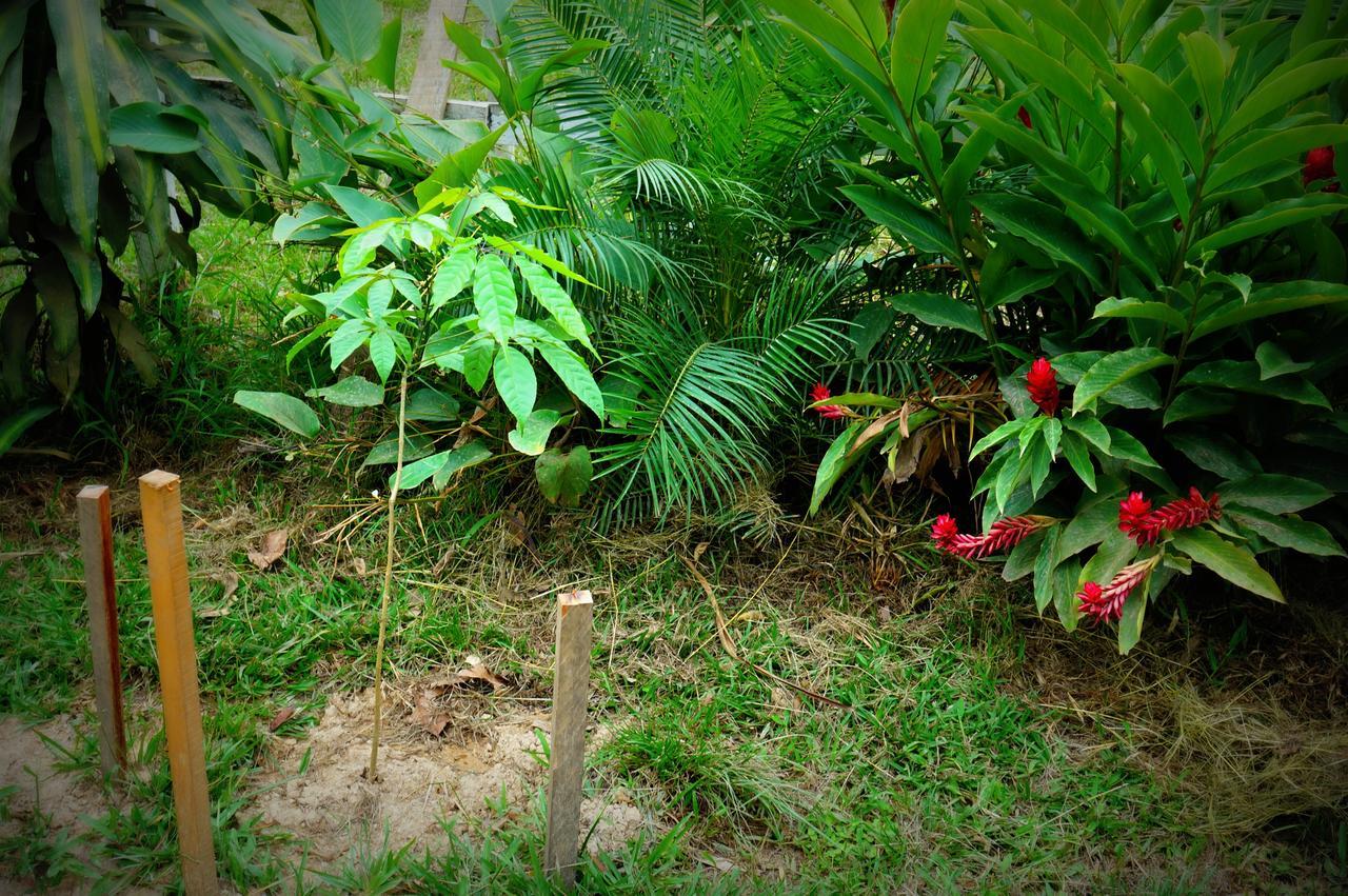 Villa Hermosa De Tambopata Casa Hospedaje & Hostel 푸에르토말도나도 외부 사진