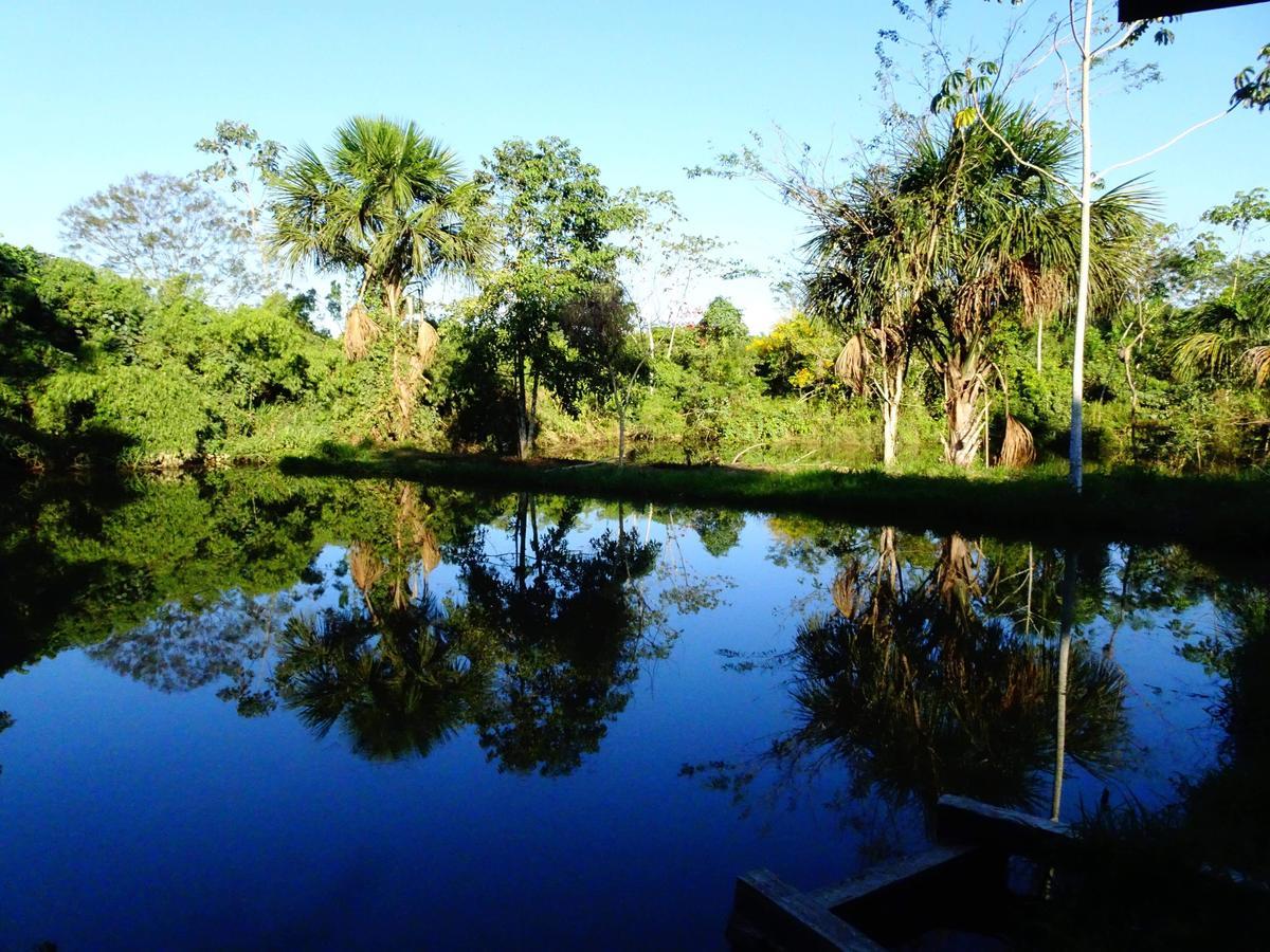 Villa Hermosa De Tambopata Casa Hospedaje & Hostel 푸에르토말도나도 외부 사진